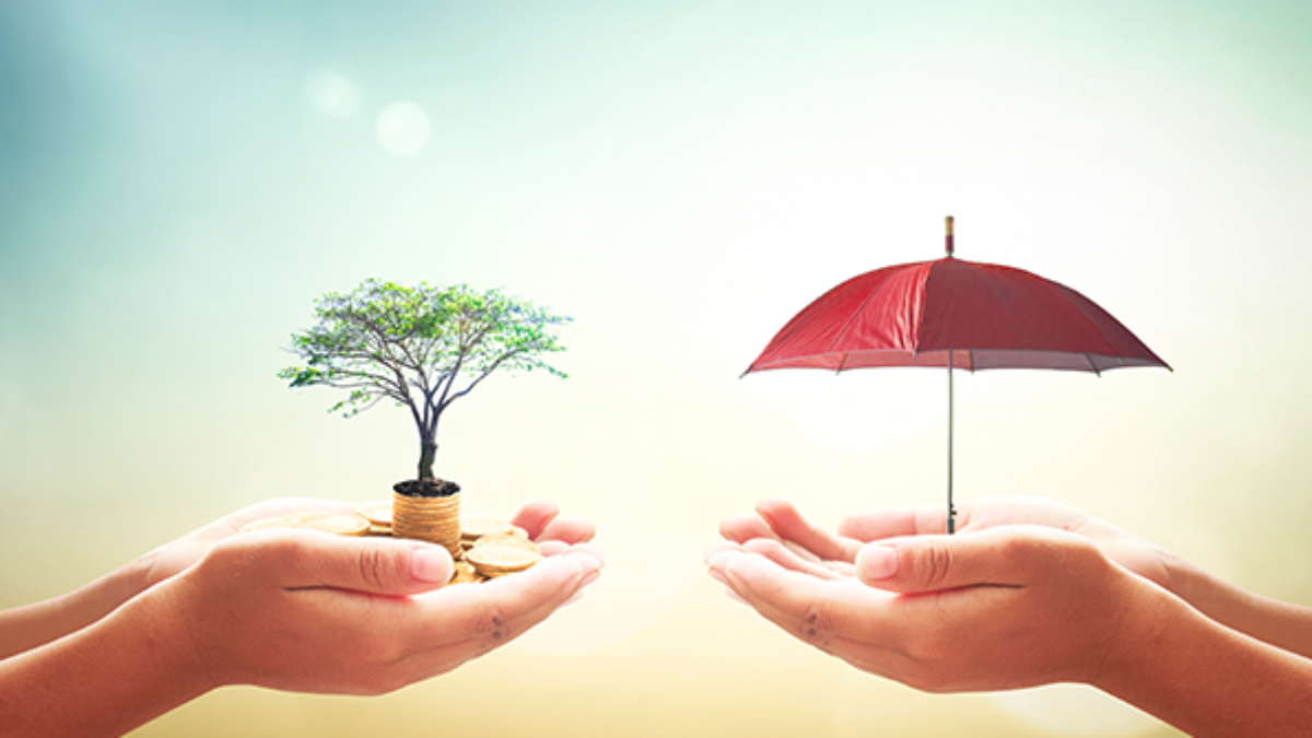 Difference Between Term Insurance and Endowment Plan