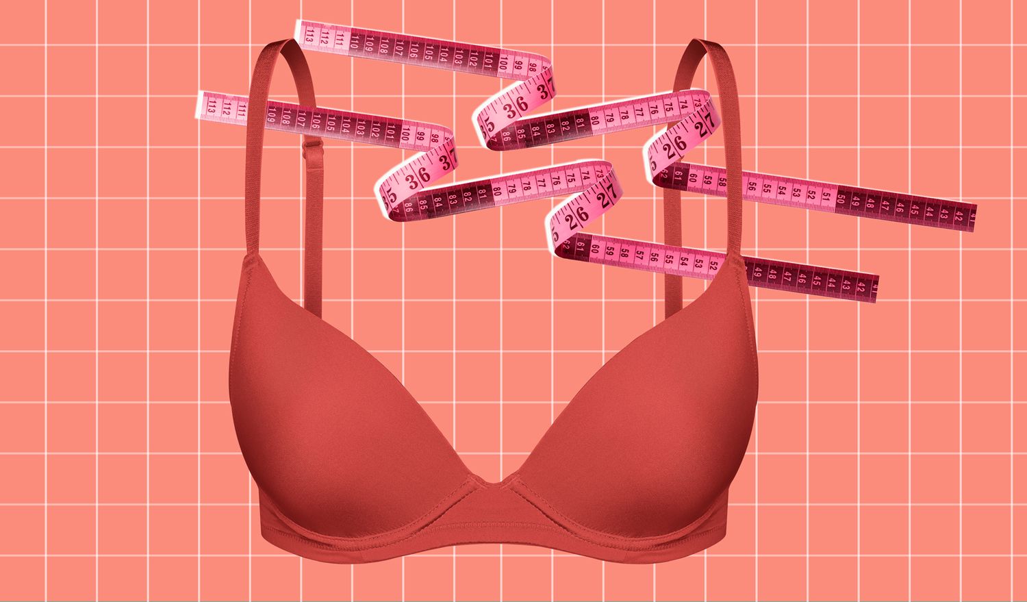 Tricks for Right Bra Fitting Size